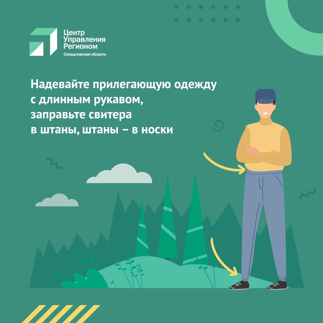 ЦУР напомнил уральцам, как обезопасить себя от укуса клеща - «Уральский  рабочий»